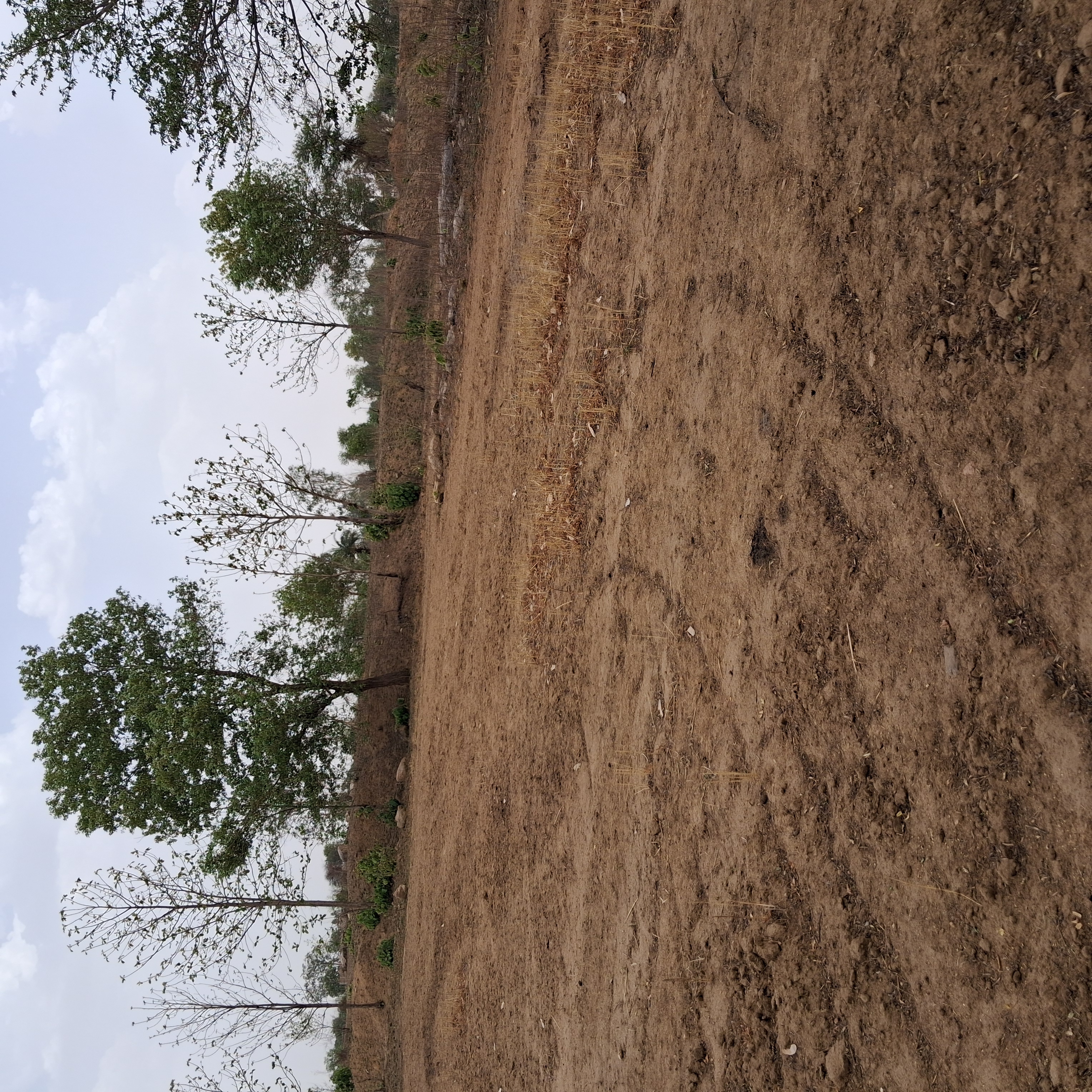 Agriculture